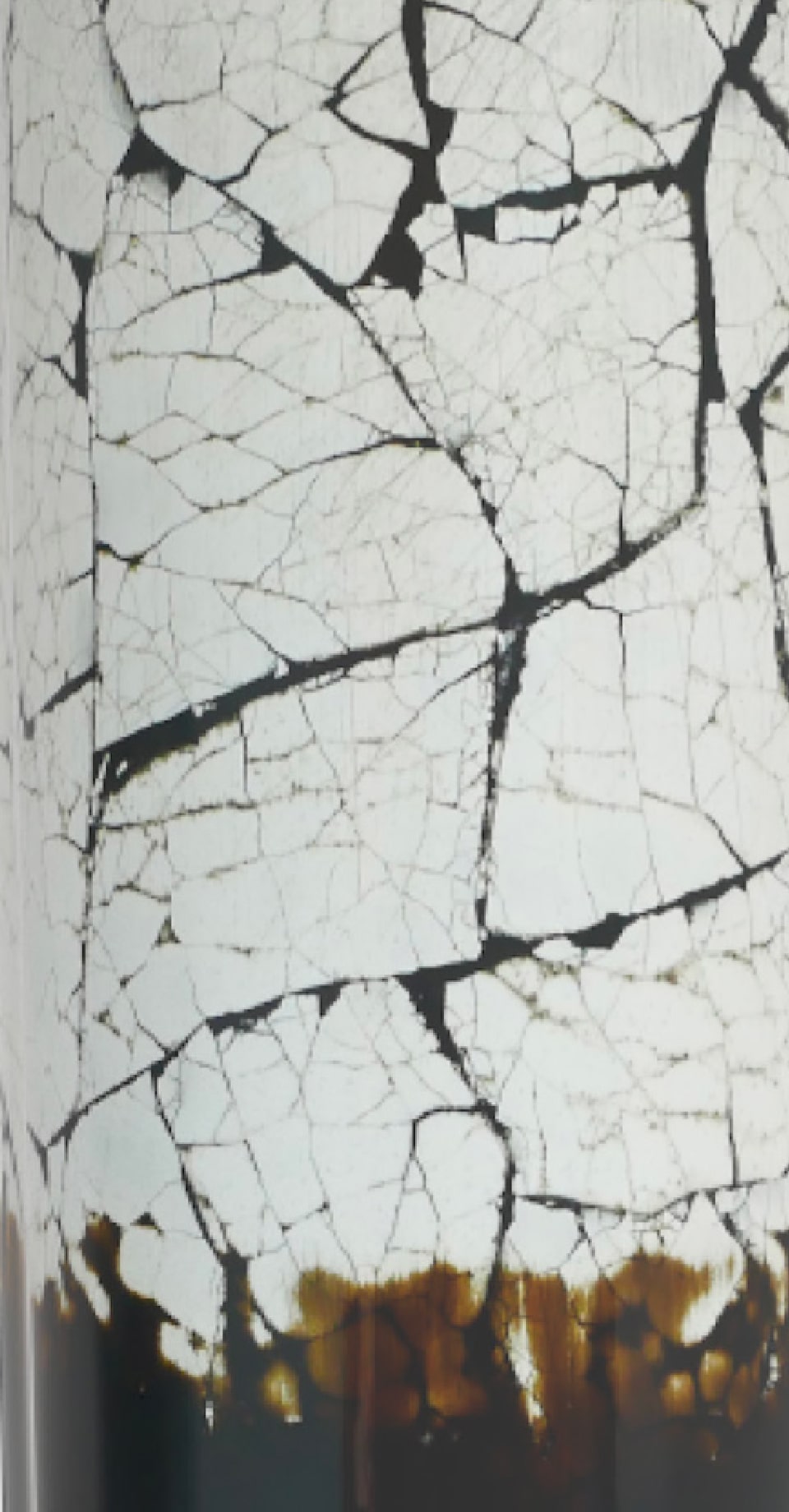 デザイナーコラボ